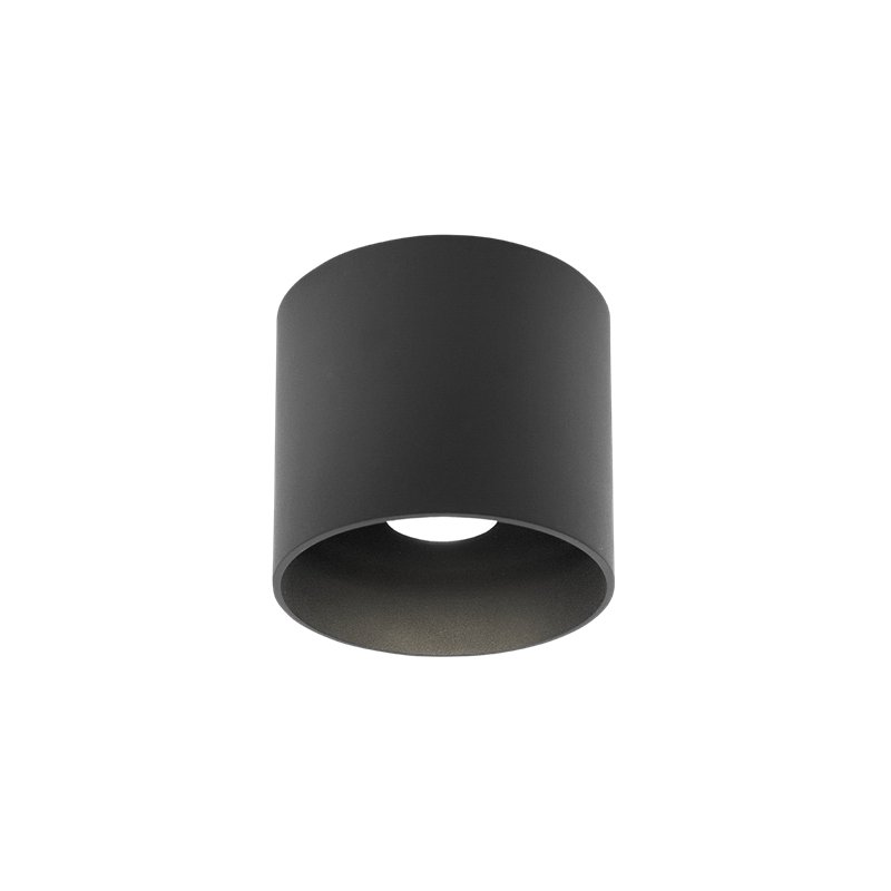 Wever & Ducré Ray Outdoor 1.0 Plafondlamp