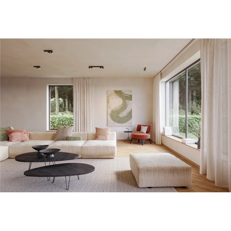 Wever & Ducré Leca Surface 1.0 Plafondlamp