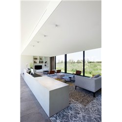 Wever & Ducré Ray Mini 1.0 LED Ceiling lamp