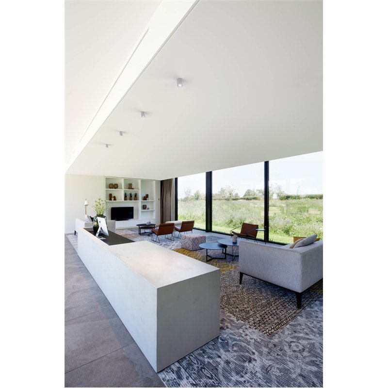 Wever & Ducré Ray Mini 1.0 LED Plafondlamp