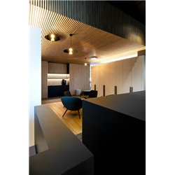Wever & Ducré Mirro Suspended 2.0 Suspension lamp