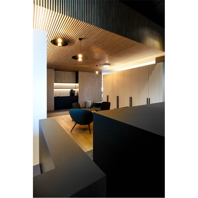 Wever & Ducré Mirro Suspended 2.0 Hanglamp