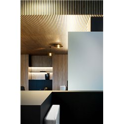 Wever & Ducré Mirro Suspended 2.0 Suspension lamp