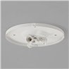 Astro 3-Way Plate | Ceiling lamp