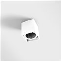 Modular Smart Box Surface 82 1x DE | Plafondlamp