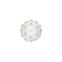 Buy Slamp C'EST LA VIE online? Fast & safe delivery!