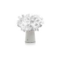 Slamp Clizia | Tafellamp online kopen? Snelle en veilige levering!