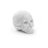 SELETTI Memorabilia porcelain my skull