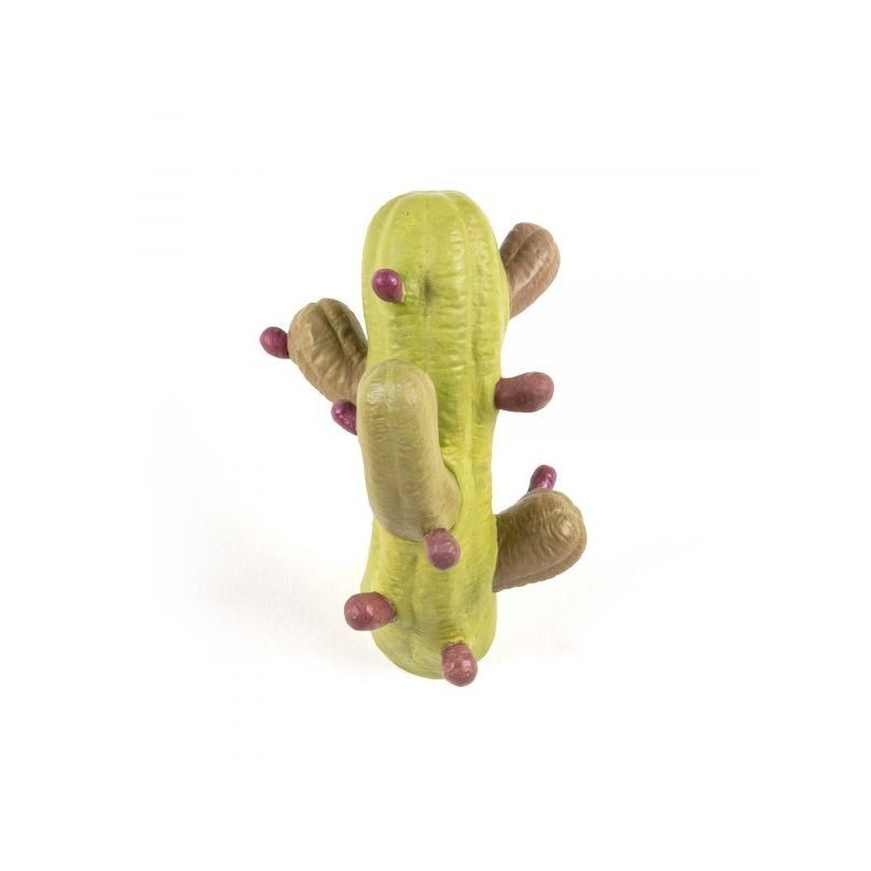 SELETTI cactus hanger- col