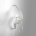 SELETTI Aap Lamp Hangend met Rechterhand - Binnen