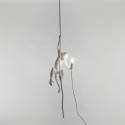 SELETTI Aap Lamp aan Touw - Binnen