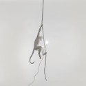 SELETTI Aap Lamp aan Touw - Binnen