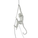 SELETTI Aap Lamp aan Touw - Binnen