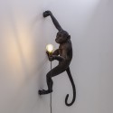 SELETTI Aap Lamp Hangend met Rechterhand - Buiten