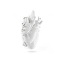 SELETTI Porseleinen vaas "Love In Bloom" (groot)