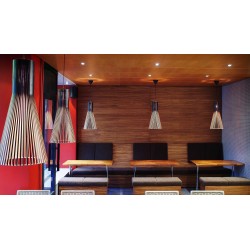 SECTO DESIGN Secto 4200 Pendant