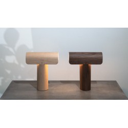 SECTO DESIGN Teelo 8020 Table lamp