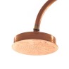 SELETTI Aquart Shower